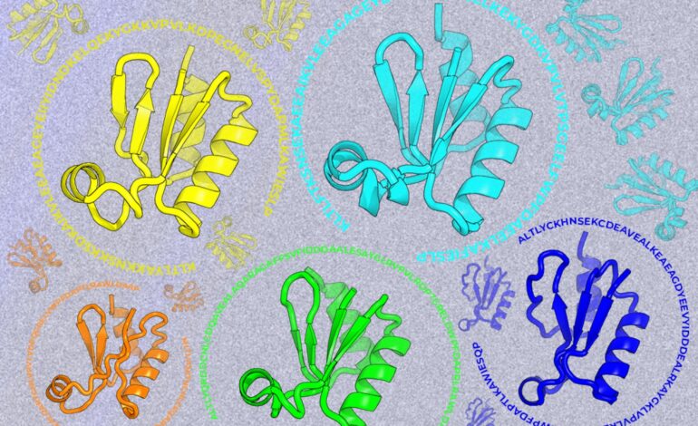 Looking beyond natural sequences | MIT News